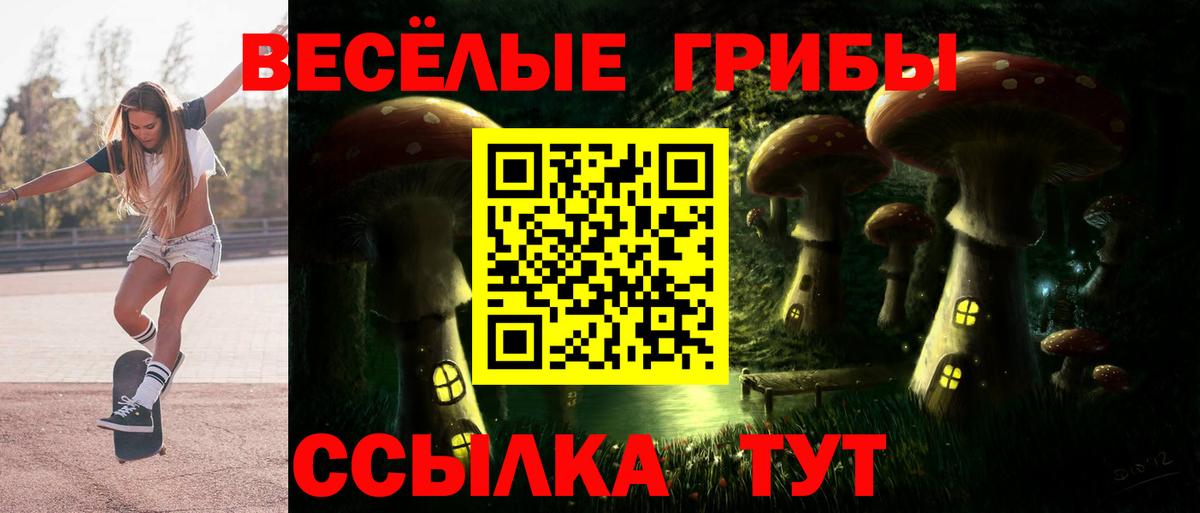 Псилоцибиновые грибы Psilocybine cubensis Киров